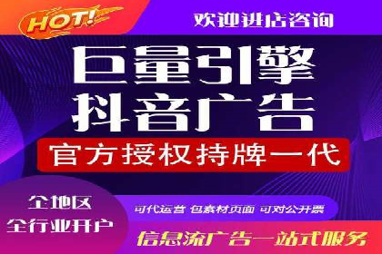 案例分析：高效信息流广告投放策略